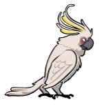 Zz1630817707pepillopngpng — Angry Birds Flock option 131