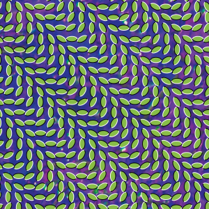 Merrijpg — Animal Collective option 27
