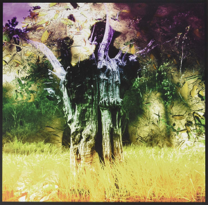 Motwjpg — Animal Collective option 28