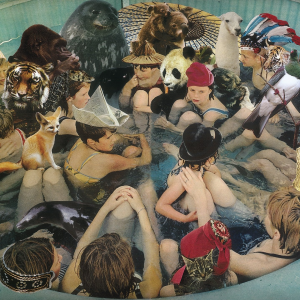 Personpitchjpg — Animal Collective option 36