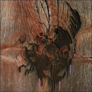 Slasherflickspng — Animal Collective option 43