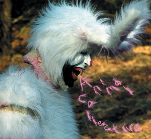 Wcwarjpg — Animal Collective option 52