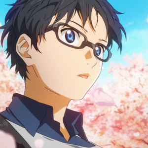 Arimajpeg — Animanga Mc's option 9