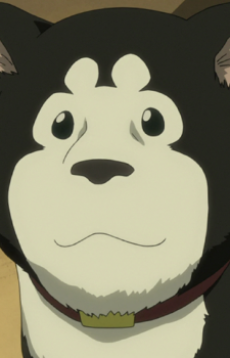 Zz1638737534black Hayatepng — Anime and Manga characters (+500) option 482