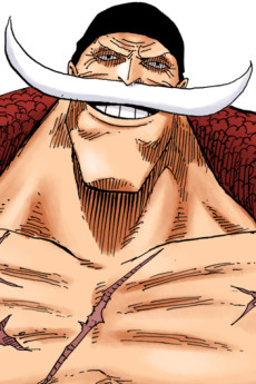 Zz1640538487edward Newgatejpg — Anime and Manga characters (+500) option 1109