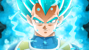 Dragon Ball Fighter Z Super Saiyan God Vegetapng — Anime characters option 33