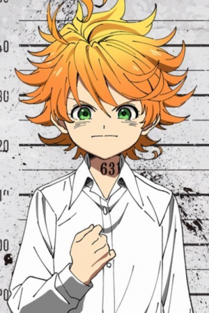 Thepromisedneverlandemmacosplaywig21800xjpg — Anime Main Character Tier List option 51