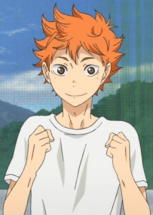 Shoyo Hinata 55207jpg — Anime main characters | ابطال الانمي option 23