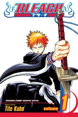Zz1618342366bleachpng — Anime/Manga Completed Ending Tier option 5