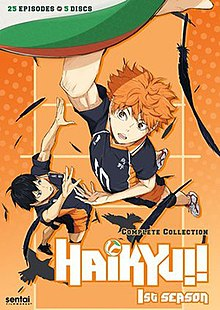 220px Haikyuseason1dvdcoverjpg — Anime/Manga fandoms option 8