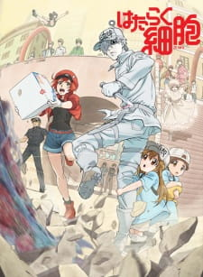 Cells At Workjpg — Anime Opening Tier List option 21