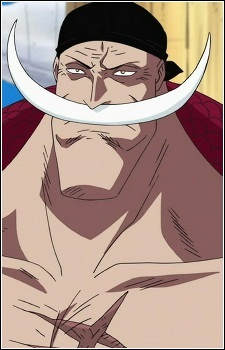 Onepiece5jpg — Anime Power Level option 111