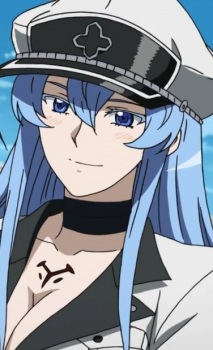 Akamegakill Esdeathjpg — Anime Waifu 2022 option 7