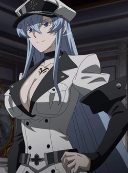 Esdeathperfilpng — Antagonistas/Villanos de Anime/Manga option 51