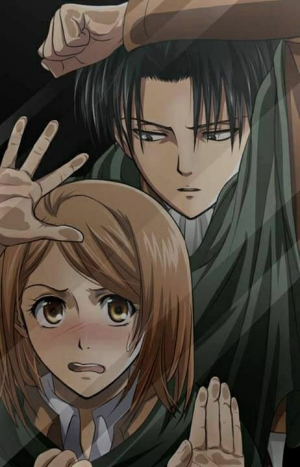 Petralevijpg — aot ships option 18