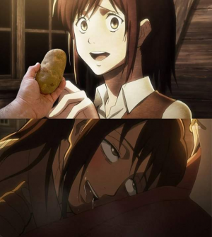 Sasha X Potatojfif — aot ships option 26