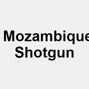 Image 21png — Apex Legends Season 9 Guns option 14