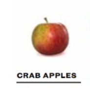 026dcc0280bdaece71a424688cc8fdf9png — Apple Tier List option 1
