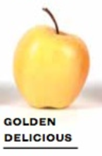 3cc8b6a3c557ff1f7c2fbeebbadb06a1png — Apple Tier List option 4