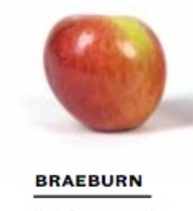 4a9e6ce094f386d6351645903e90e83cpng — Apple Tier List option 6