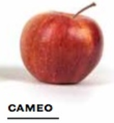 5c10b0be19016d7a5813635d89fdce65png — Apple Tier List option 9