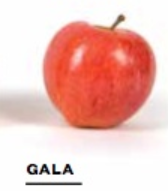 6134a76c1a60e8eceed7d1b19071ca66png — Apple Tier List option 10