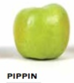 7221b302f1872b561b2fa463d714acccpng — Apple Tier List option 11