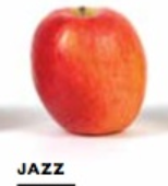 783aed8a01ae57c7210bf72fc713b6f2png — Apple Tier List option 12