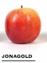 9bf3f664a4da790638e3960090f1cb2fpng — Apple Tier List option 14