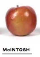 9fa483edaecfe2a759be16497f429e8cpng — Apple Tier List option 15