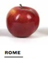 Ca72fe4593ae6e7480cc10f820be6779png — Apple Tier List option 18