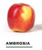Ee5208c694b6738cd8ee717adcd03195png — Apple Tier List option 19
