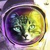 Axljpg — Argentina Youtubers option 4