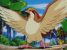 Zz1639253024225px Ashpidgeotjpg — Ash Ketchum's Pokemon (Gen 1-8) option 5