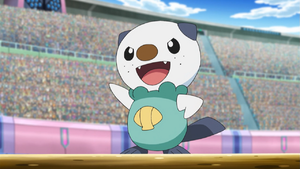 Zz1639253025300px Ashoshawottjpg — Ash Ketchum's Pokemon (Gen 1-8) option 30