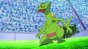 Zz1639253025300px Ashsceptilejpg — Ash Ketchum's Pokemon (Gen 1-8) option 36