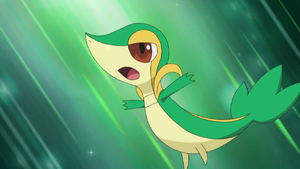 Zz1639253025300px Ashsnivyjpg — Ash Ketchum's Pokemon (Gen 1-8) option 38
