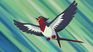 Zz1639253025300px Ashswellowjpg — Ash Ketchum's Pokemon (Gen 1-8) option 41