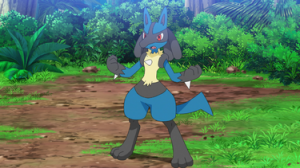 Zz1639253025375px Ashlucariojpg — Ash Ketchum's Pokemon (Gen 1-8) option 50