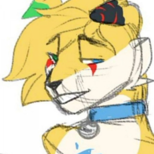 Tier7png — Asilo 'Sonas option 28