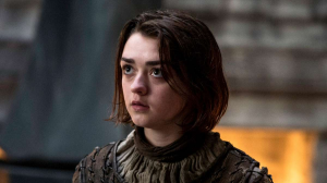 8d67de53 8f04 4ff8 A262 84ca14d02858jpeg — ASOIAF POV characters option 16