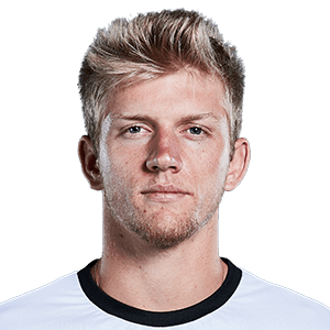 Davidvichfokinaheadao20png — ATP tennis players option 10