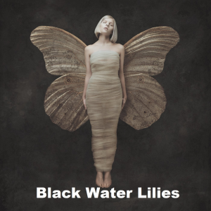 Black Water Liliesjpg — Aurora - all songs option 1