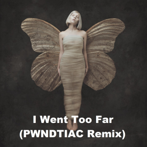 I Went Too Far Pwndtiac Remixjpg — Aurora - all songs option 5