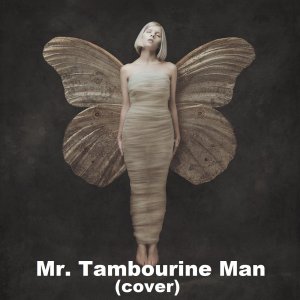 Mr Tambourine Manjpg — Aurora - all songs option 8