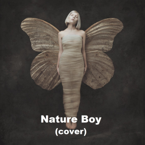 Nature Boy Acousticjpg — Aurora - all songs option 11