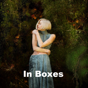 Zz1639013936in Boxespng — Aurora - all songs option 55