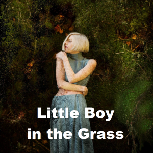Zz1639013936little Boy In The Grasspng — Aurora - all songs option 56