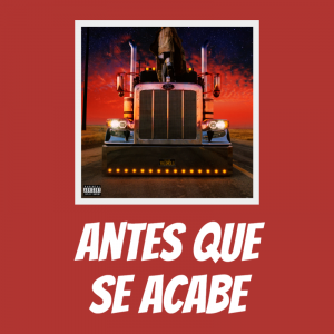 Zz16159481361png — Bad Bunny All Time Ultimate Tier List option 55