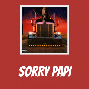 Zz16159481363png — Bad Bunny All Time Ultimate Tier List option 57